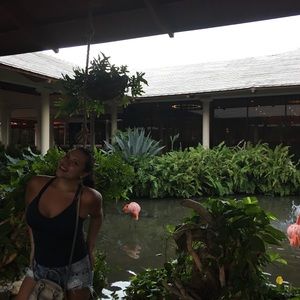 Meet your Posher, Shirley